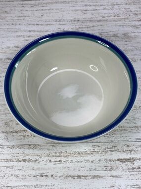 Pfaltzgraff Stoneware Salad/Soup Bowl with Green Blue Rim Stripe